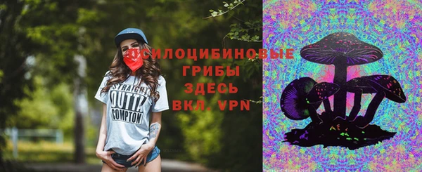 прущие крисы Алзамай