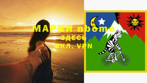 шишки Аша